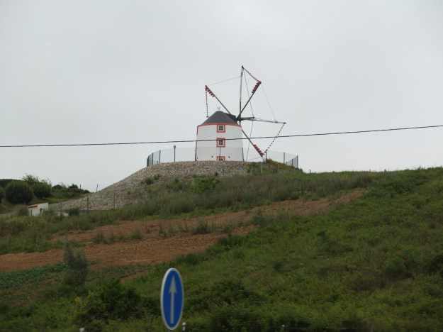 DSCF3110 (2000x1500)