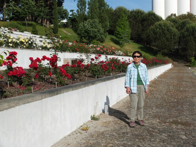 DSCF3489 (2000x1500)