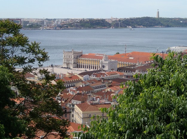 P5070006 (2000x1486)