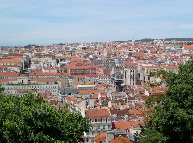 P5070007 (2000x1489)